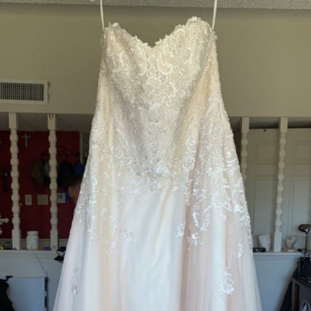 David's Bridal Wedding Dress